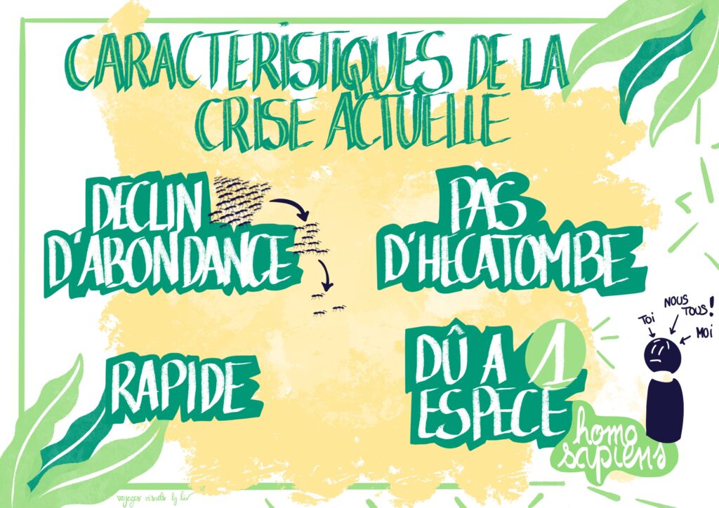 La crise de la biodiversité Facilitation graphique - modélisation visuelle - voyages visuels - Liv Guilloteau