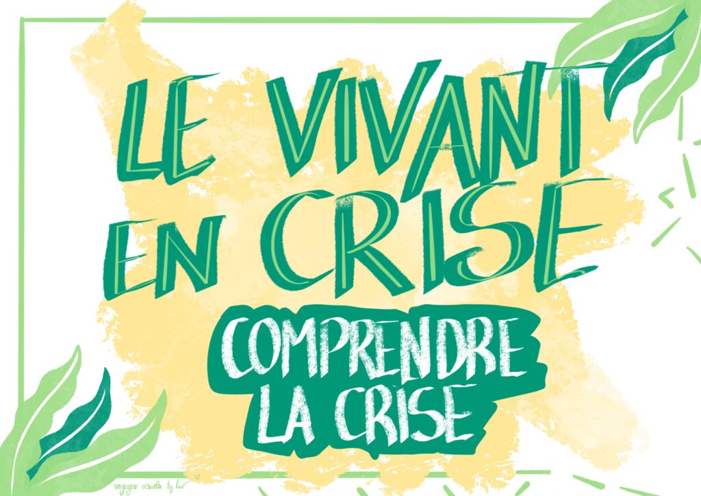 La crise de la biodiversité Facilitation graphique - modélisation visuelle - Liv Guilloteau - Voyages visuels