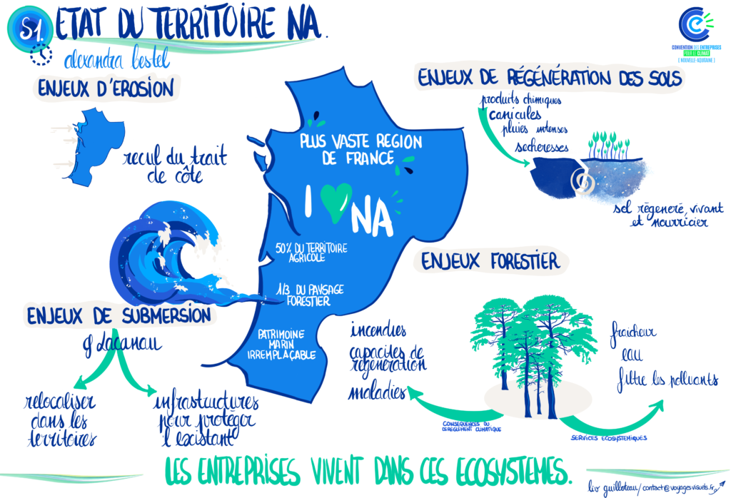 CEC climat - Liv GUILLOTEAU - Facilitation graphique - Scribing - Récolte visuelle- voyages visuels.