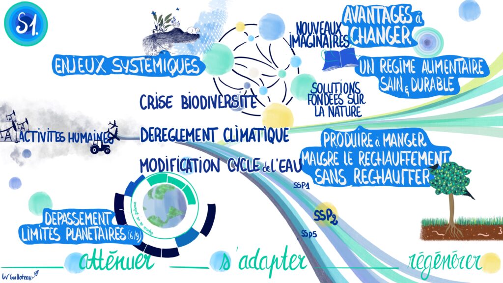 Convention des entreprises pour le climat -CEC- Liv GUILLOTEAU - Facilitation graphique - Scribing - Récolte visuelle- voyages visuels.